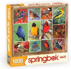 Songbirds Birds