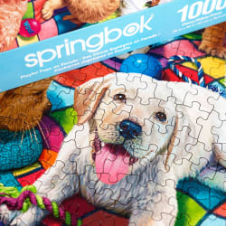 Playful Pups on Parade - Scratch and Dent Dogs