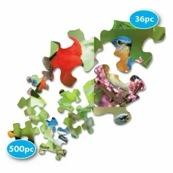 Puzzles to Remember: Birds of A Feather Birds