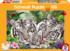Tiger Family Big Cats Jigsaw Puzzle