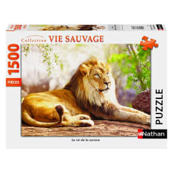 Le roi de la savane Big Cats