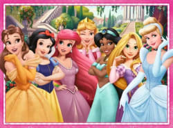 Disney Princess  Disney