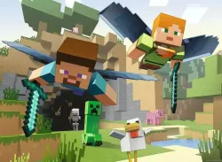 Minecraft Video Game