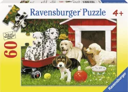 Puppy Party Dogs