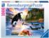 Undersea Dolphin Panoramic Puzzle By Anatolian