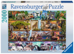 Wild Kingdom Shelves Animals