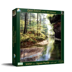 Quiet Forest Forest