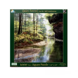 Quiet Forest Forest