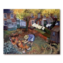 Town Hens Birds