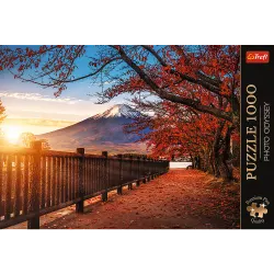 Premium Plus Mount Fuji , Japan Travel