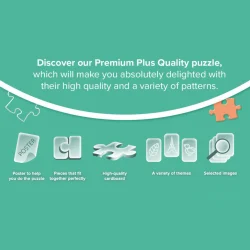 Premium Plus Mount Fuji , Japan Travel