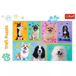 In the world of dogs Dogs