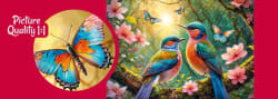 Greeting the New Day Birds
