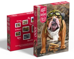 Bon voyage! Dogs