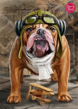 Bon voyage! Dogs
