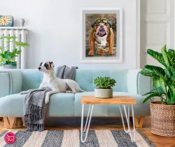 Bon voyage! Dogs