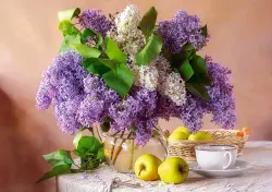 Lilac Still Life Flower & Garden