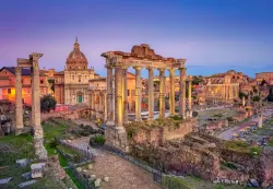 The Roman Forum, Rome - Scratch and Dent History
