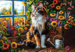Blooming Cat Meditation - Scratch and Dent Cats