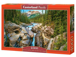 Mistaya Canyon, Banff National Park, Canada Forest