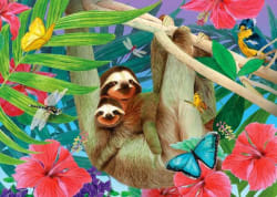 Sweet Sloths Animals