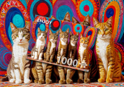 Five Cats Cats