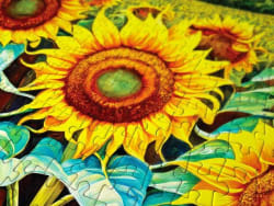 Sunflower House Countryside