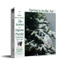 Spring is in the Air Birds