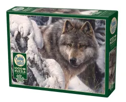 Master of the North Wolf