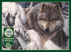 Master of the North Wolf
