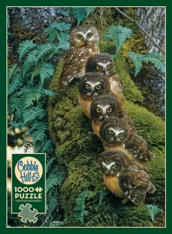 Family Tree Birds