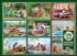 Squirrels on Vacation Animals Jigsaw Puzzle