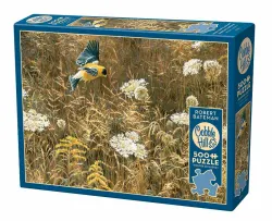 Queen Anne's Lace and American Goldfinch Countryside