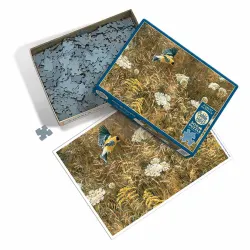Queen Anne's Lace and American Goldfinch Countryside