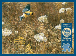 Queen Anne's Lace and American Goldfinch Countryside