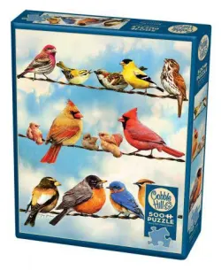 Birds on a Wire Birds