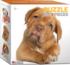 Too Early to Get Up Dogs Jigsaw Puzzle By Educa