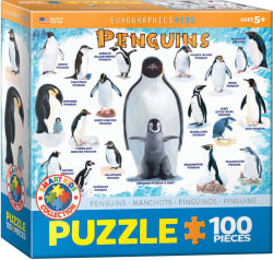 Penguins Birds
