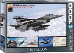F-16 Fighting Falcon Plane