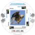 Common Loon MiniPix® Puzzle Birds Miniature Puzzle By Pigment & Hue
