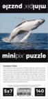 Humpback Whales in a School of Herrings Fish Children's Puzzles By Larsen Puzzles