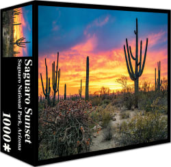 Saguaro Sunset - Scratch and Dent Landscape