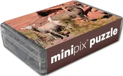 Desert Bighorn Sheep MiniPix® Puzzle Animals