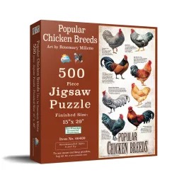Popular Chicken Breeds Birds