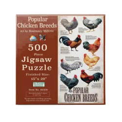 Popular Chicken Breeds Birds