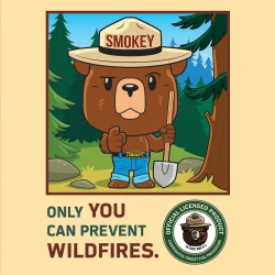 Smokey Bear - 100 Piece Jigsaw Puzzle by MasterPieces