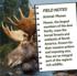 Moose  Animals Shaped Puzzle
