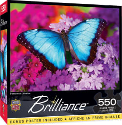 Iridescence Butterflies and Insects