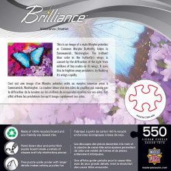 Iridescence Butterflies and Insects