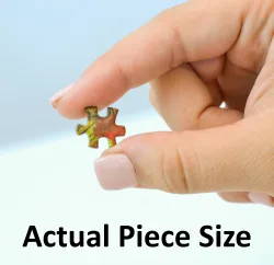 World‘s Smallest Rainbow Flow Mini Puzzle Fish